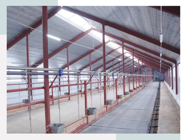 Строительство коровников в Симферополе от 623 руб.