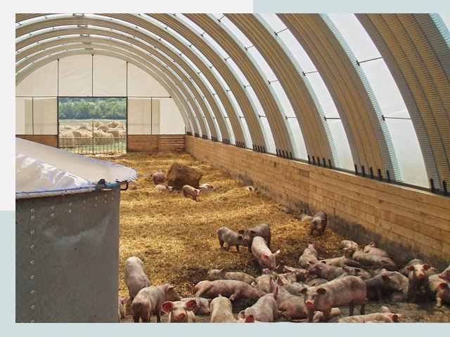 Строительство свинарников в Симферополе