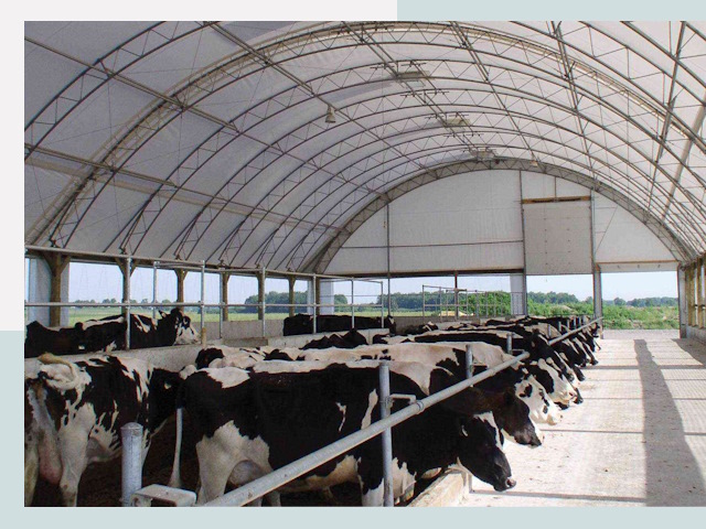 Тентовые коровники в Симферополе